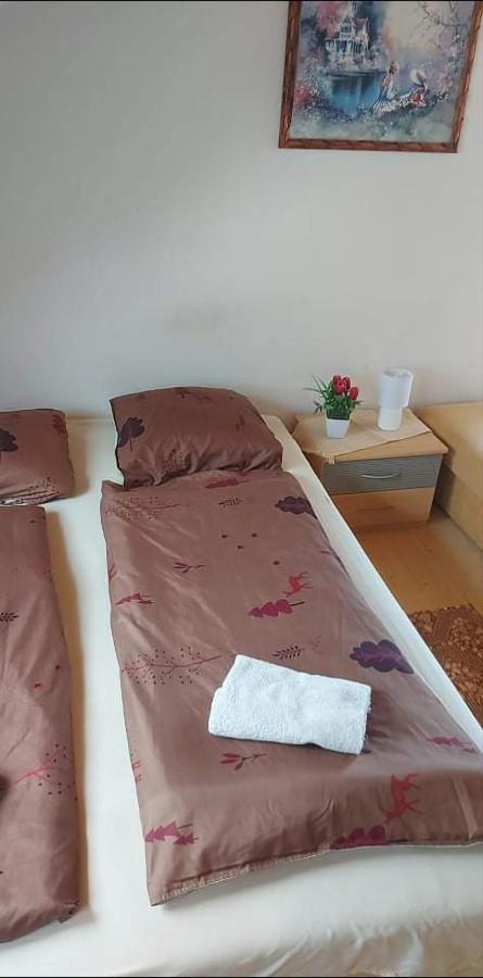 包道乔尼托毛伊 Badacsonyi Pihenes Privat Berlemeny酒店 外观 照片
