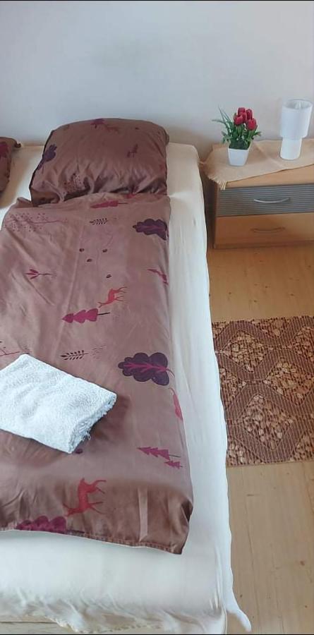 包道乔尼托毛伊 Badacsonyi Pihenes Privat Berlemeny酒店 外观 照片
