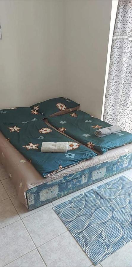 包道乔尼托毛伊 Badacsonyi Pihenes Privat Berlemeny酒店 外观 照片